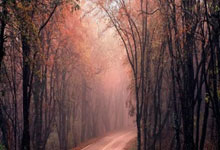 世界杯下注-郑钦文入围澳网单打正赛