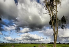 世界杯规则-球迷“打飞的”赴蓉，混团世界杯带火成都“赛事经济”