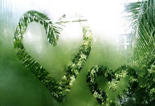 2026世界杯竞猜-罗密欧·拉维亚的(de)复出：切尔西中场的(de)希望(wàng)与挑战