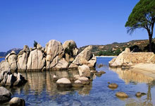 世界杯规则-北仑福托机械工具取得曲丝轮刷内铆钉自动倒角装置专利