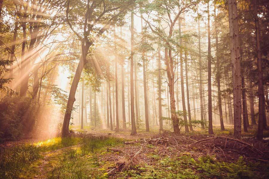 世界杯竞猜-中国男足晋级世界杯亚洲区预选赛下一轮