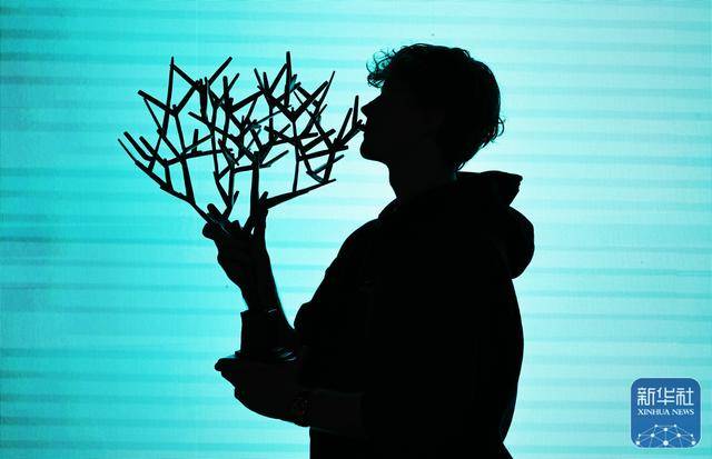 世界杯规则-网球丨巴黎大师赛：辛纳夺冠